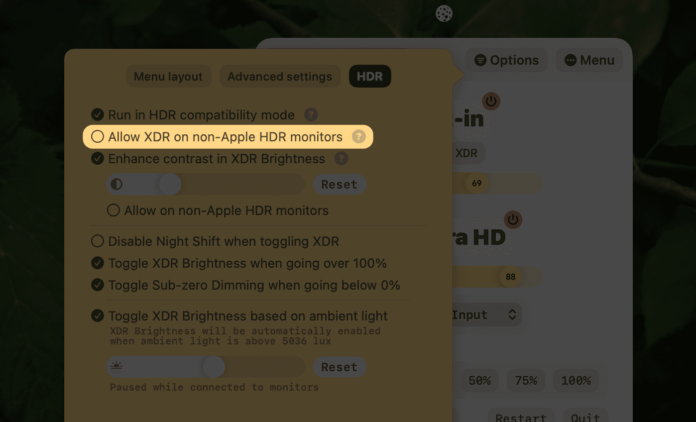 XDR option on HDR monitors
